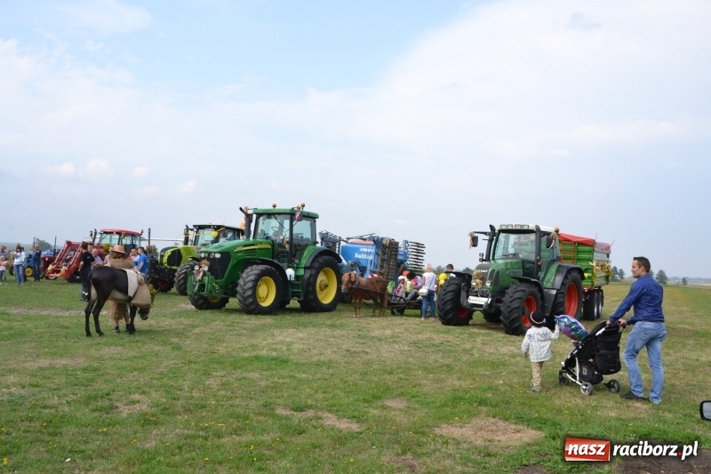 Zdjęcie w galerii na portalu naszraciborz.pl: Kolorowo i cyrkowo na dożynkach w Rudyszwałdzie  wiadomości z regionu