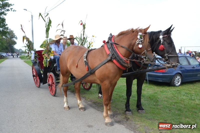 Zdjęcie w galerii na portalu naszraciborz.pl: Kolorowo i cyrkowo na dożynkach w Rudyszwałdzie  wiadomości z regionu