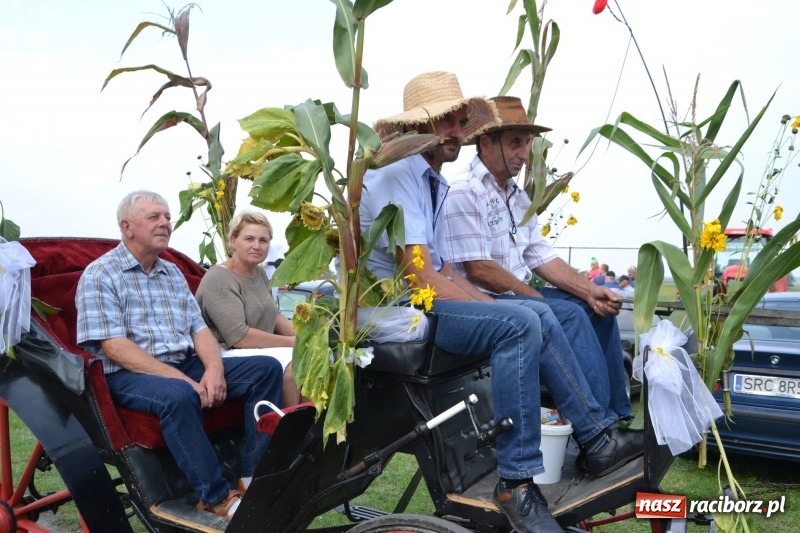 Zdjęcie w galerii na portalu naszraciborz.pl: Kolorowo i cyrkowo na dożynkach w Rudyszwałdzie  wiadomości z regionu