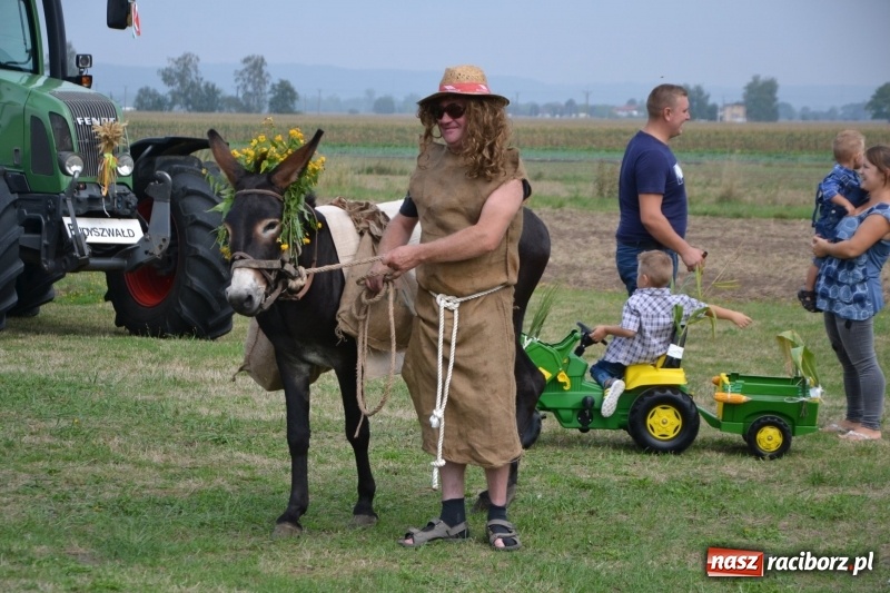 Zdjęcie w galerii na portalu naszraciborz.pl: Kolorowo i cyrkowo na dożynkach w Rudyszwałdzie  wiadomości z regionu