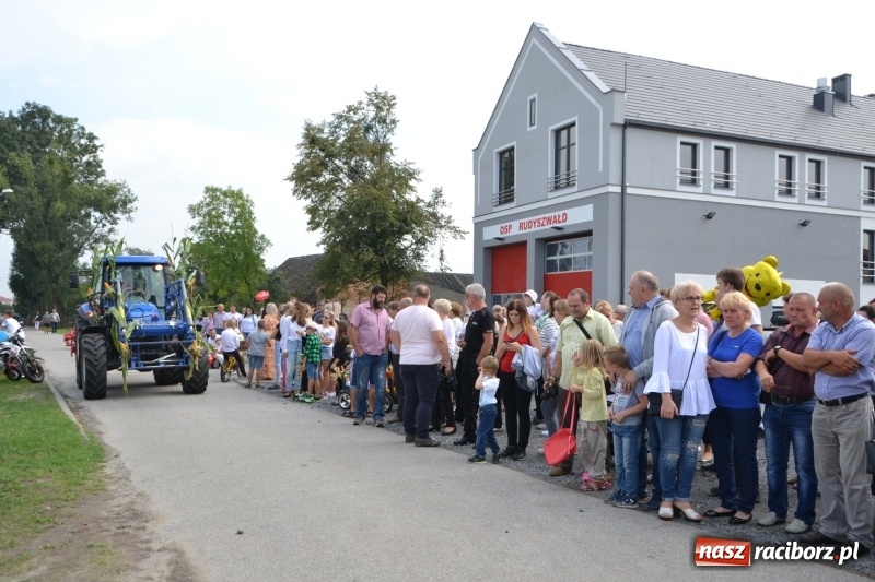 Zdjęcie w galerii na portalu naszraciborz.pl: Kolorowo i cyrkowo na dożynkach w Rudyszwałdzie  wiadomości z regionu