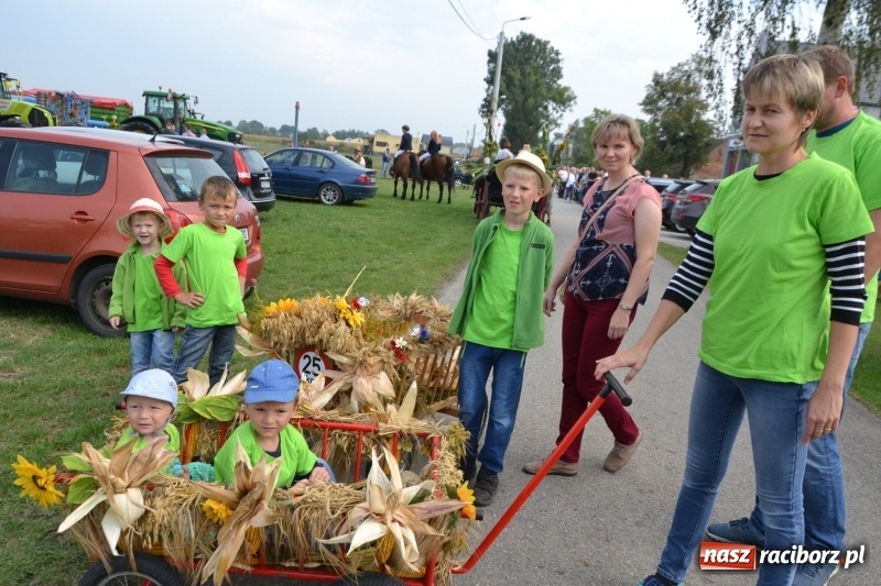 Zdjęcie w galerii na portalu naszraciborz.pl: Kolorowo i cyrkowo na dożynkach w Rudyszwałdzie  wiadomości z regionu