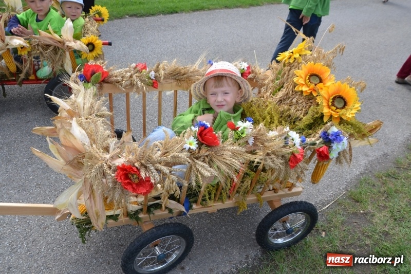 Zdjęcie w galerii na portalu naszraciborz.pl: Kolorowo i cyrkowo na dożynkach w Rudyszwałdzie  wiadomości z regionu