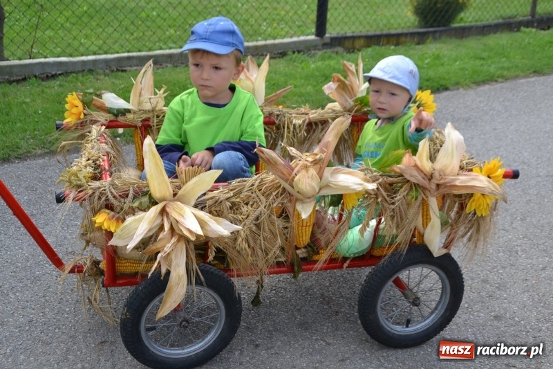 Zdjęcie w galerii na portalu naszraciborz.pl: Kolorowo i cyrkowo na dożynkach w Rudyszwałdzie  wiadomości z regionu