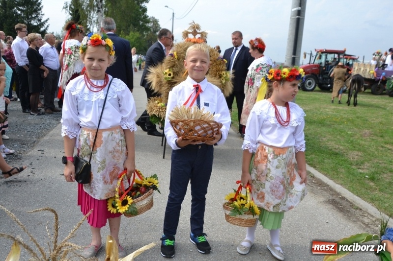 Zdjęcie w galerii na portalu naszraciborz.pl: Kolorowo i cyrkowo na dożynkach w Rudyszwałdzie  wiadomości z regionu
