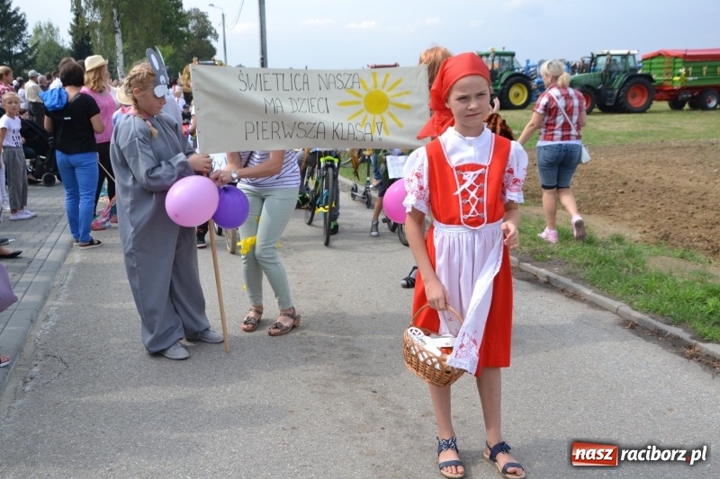 Zdjęcie w galerii na portalu naszraciborz.pl: Kolorowo i cyrkowo na dożynkach w Rudyszwałdzie  wiadomości z regionu