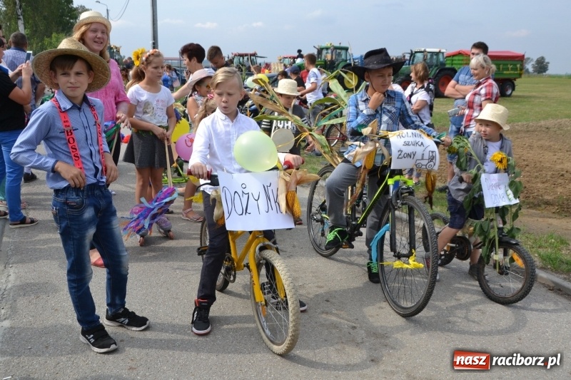 Zdjęcie w galerii na portalu naszraciborz.pl: Kolorowo i cyrkowo na dożynkach w Rudyszwałdzie  wiadomości z regionu