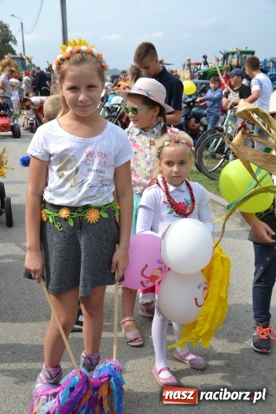 Zdjęcie w galerii na portalu naszraciborz.pl: Kolorowo i cyrkowo na dożynkach w Rudyszwałdzie  wiadomości z regionu