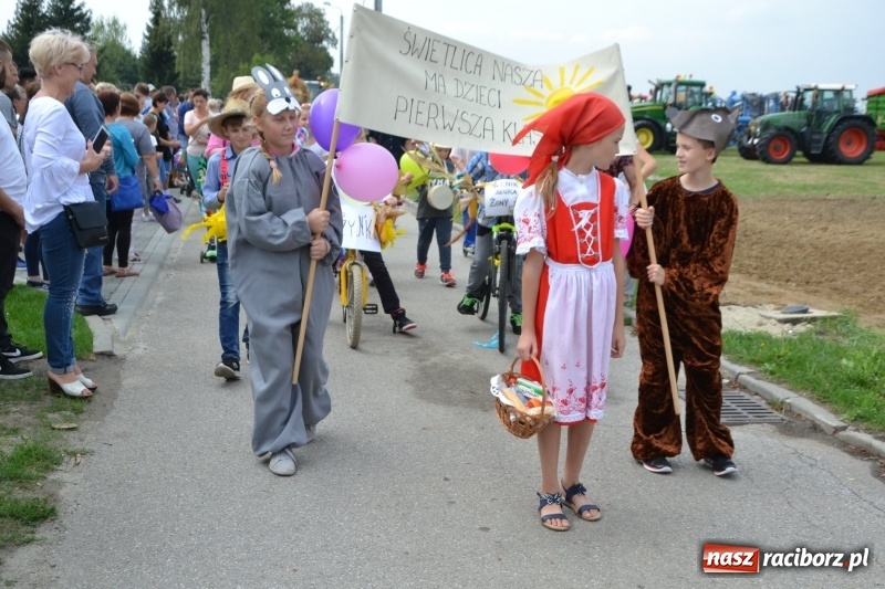 Zdjęcie w galerii na portalu naszraciborz.pl: Kolorowo i cyrkowo na dożynkach w Rudyszwałdzie  wiadomości z regionu