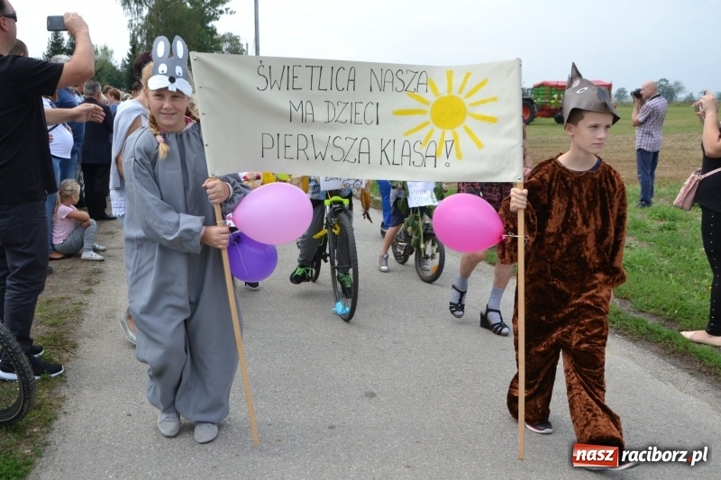 Zdjęcie w galerii na portalu naszraciborz.pl: Kolorowo i cyrkowo na dożynkach w Rudyszwałdzie  wiadomości z regionu