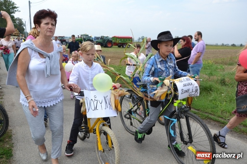 Zdjęcie w galerii na portalu naszraciborz.pl: Kolorowo i cyrkowo na dożynkach w Rudyszwałdzie  wiadomości z regionu