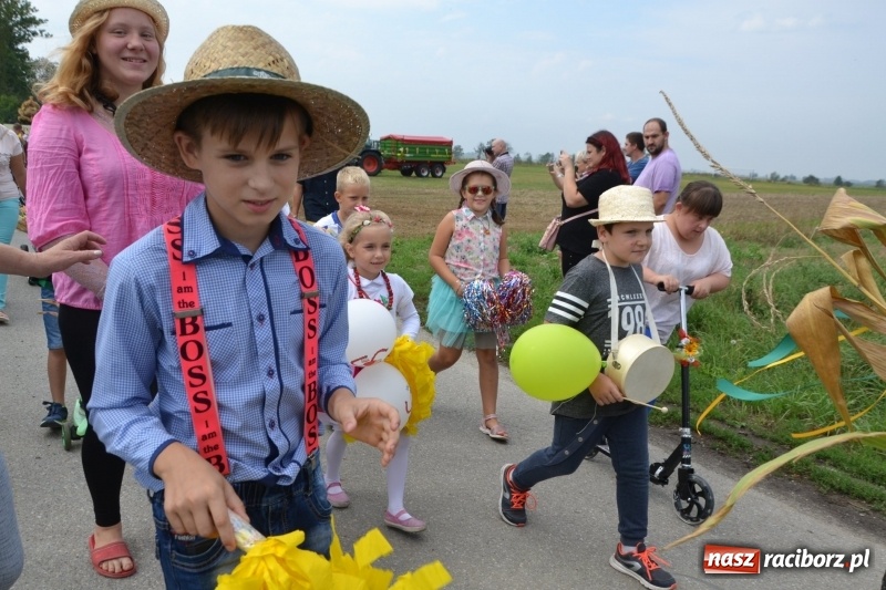 Zdjęcie w galerii na portalu naszraciborz.pl: Kolorowo i cyrkowo na dożynkach w Rudyszwałdzie  wiadomości z regionu