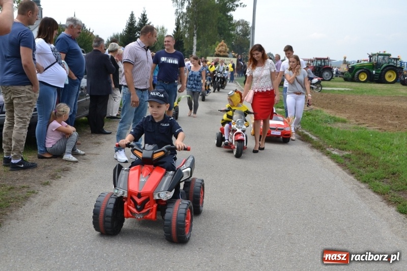 Zdjęcie w galerii na portalu naszraciborz.pl: Kolorowo i cyrkowo na dożynkach w Rudyszwałdzie  wiadomości z regionu
