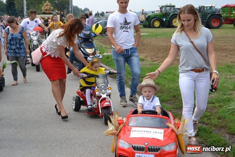 Zdjęcie w galerii na portalu naszraciborz.pl: Kolorowo i cyrkowo na dożynkach w Rudyszwałdzie  wiadomości z regionu