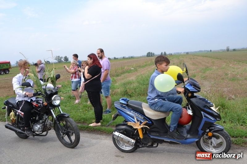 Zdjęcie w galerii na portalu naszraciborz.pl: Kolorowo i cyrkowo na dożynkach w Rudyszwałdzie  wiadomości z regionu