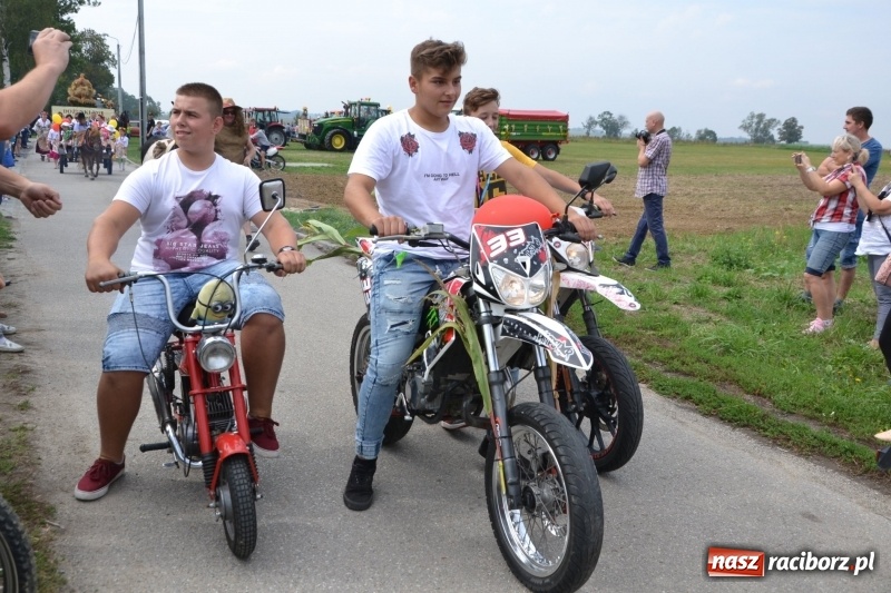 Zdjęcie w galerii na portalu naszraciborz.pl: Kolorowo i cyrkowo na dożynkach w Rudyszwałdzie  wiadomości z regionu