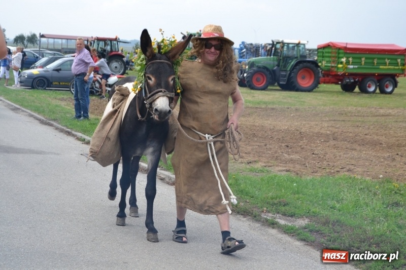 Zdjęcie w galerii na portalu naszraciborz.pl: Kolorowo i cyrkowo na dożynkach w Rudyszwałdzie  wiadomości z regionu