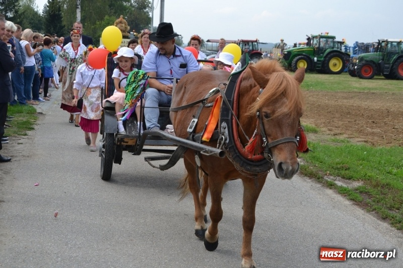 Zdjęcie w galerii na portalu naszraciborz.pl: Kolorowo i cyrkowo na dożynkach w Rudyszwałdzie  wiadomości z regionu