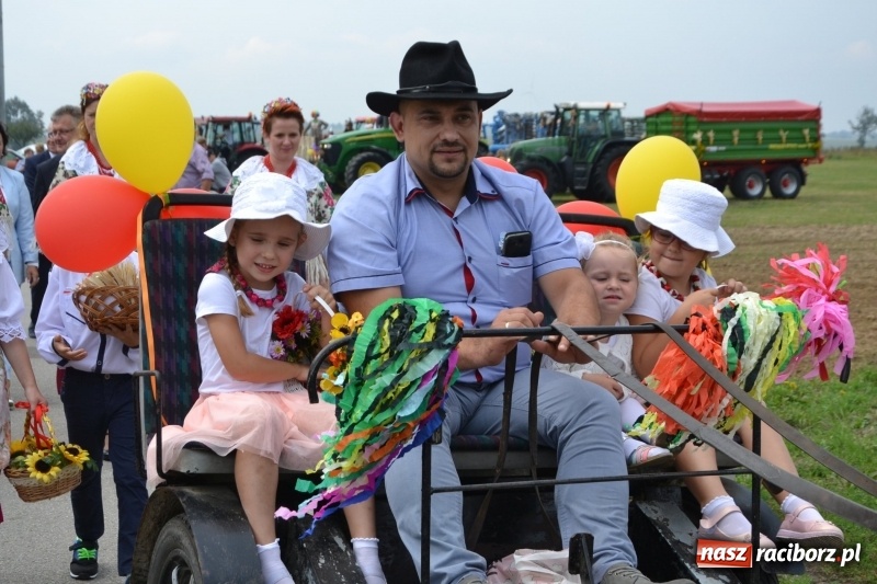 Zdjęcie w galerii na portalu naszraciborz.pl: Kolorowo i cyrkowo na dożynkach w Rudyszwałdzie  wiadomości z regionu