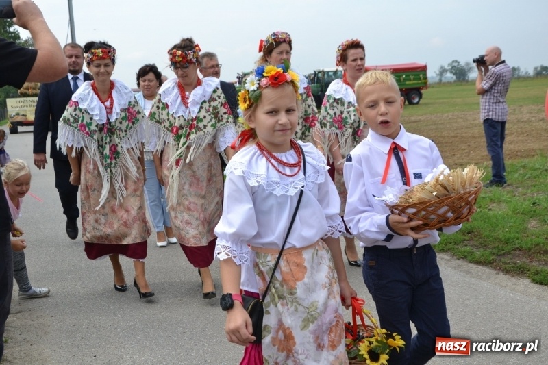 Zdjęcie w galerii na portalu naszraciborz.pl: Kolorowo i cyrkowo na dożynkach w Rudyszwałdzie  wiadomości z regionu