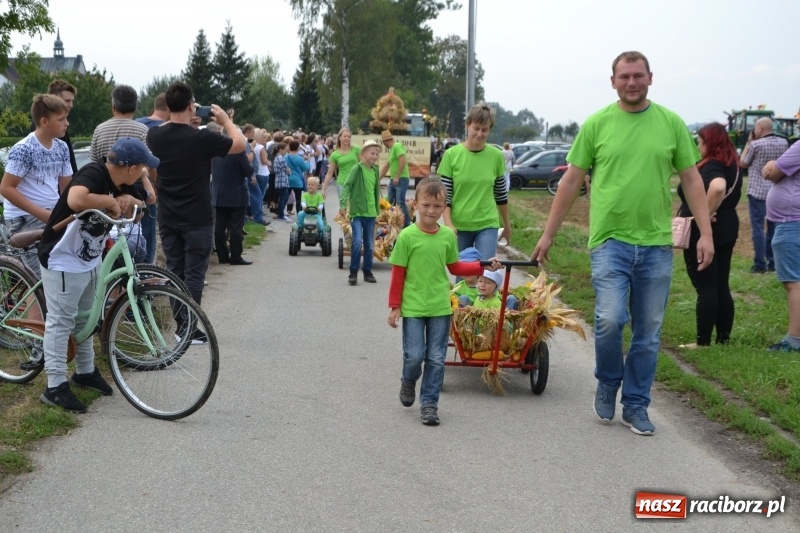 Zdjęcie w galerii na portalu naszraciborz.pl: Kolorowo i cyrkowo na dożynkach w Rudyszwałdzie  wiadomości z regionu