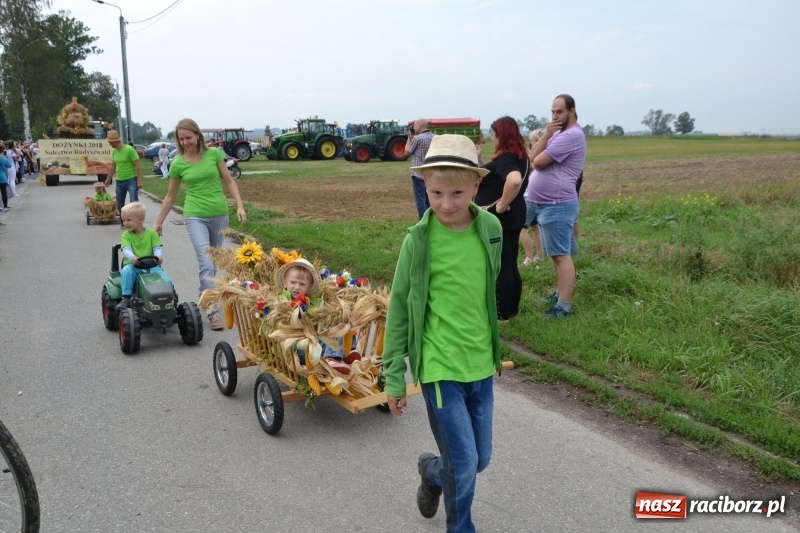 Zdjęcie w galerii na portalu naszraciborz.pl: Kolorowo i cyrkowo na dożynkach w Rudyszwałdzie  wiadomości z regionu