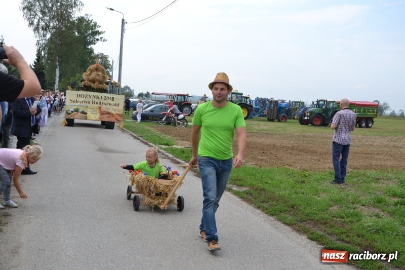 Zdjęcie w galerii na portalu naszraciborz.pl: Kolorowo i cyrkowo na dożynkach w Rudyszwałdzie  wiadomości z regionu