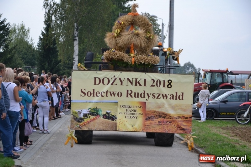 Zdjęcie w galerii na portalu naszraciborz.pl: Kolorowo i cyrkowo na dożynkach w Rudyszwałdzie  wiadomości z regionu