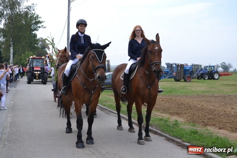Zdjęcie w galerii na portalu naszraciborz.pl: Kolorowo i cyrkowo na dożynkach w Rudyszwałdzie  wiadomości z regionu