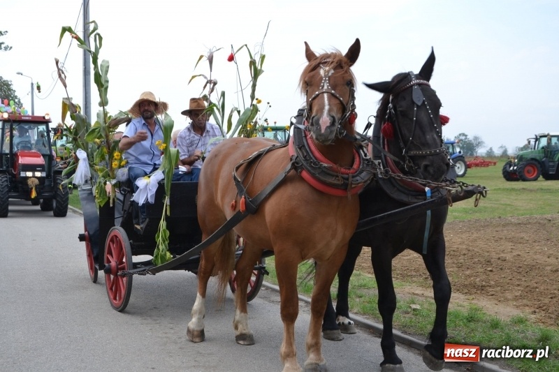 Zdjęcie w galerii na portalu naszraciborz.pl: Kolorowo i cyrkowo na dożynkach w Rudyszwałdzie  wiadomości z regionu