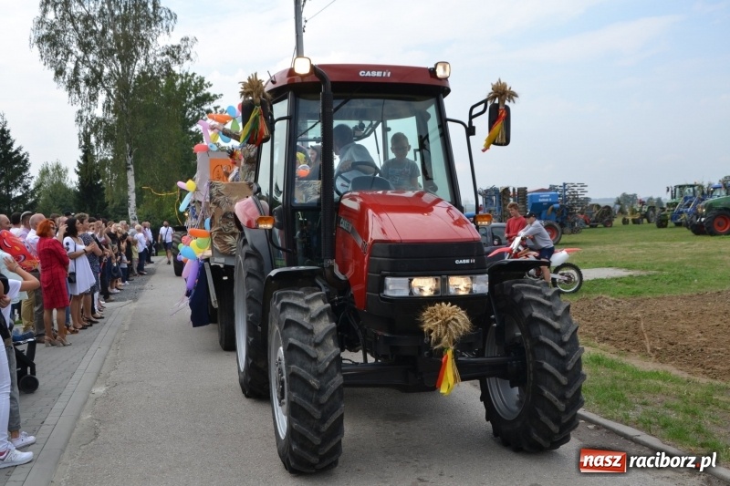 Zdjęcie w galerii na portalu naszraciborz.pl: Kolorowo i cyrkowo na dożynkach w Rudyszwałdzie  wiadomości z regionu