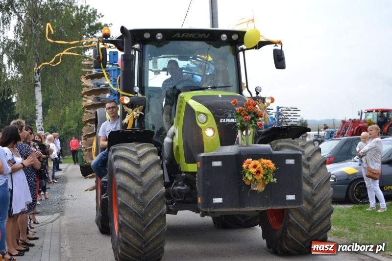 Zdjęcie w galerii na portalu naszraciborz.pl: Kolorowo i cyrkowo na dożynkach w Rudyszwałdzie  wiadomości z regionu