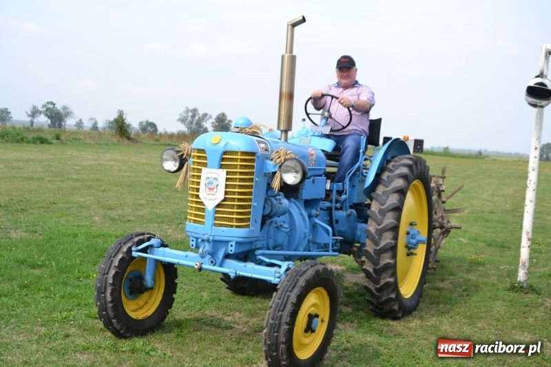 Zdjęcie w galerii na portalu naszraciborz.pl: Kolorowo i cyrkowo na dożynkach w Rudyszwałdzie  wiadomości z regionu
