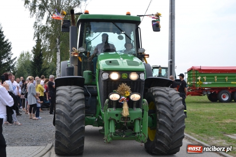 Zdjęcie w galerii na portalu naszraciborz.pl: Kolorowo i cyrkowo na dożynkach w Rudyszwałdzie  wiadomości z regionu