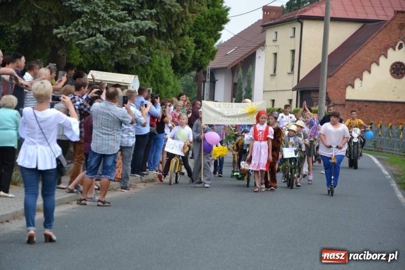 Zdjęcie w galerii na portalu naszraciborz.pl: Kolorowo i cyrkowo na dożynkach w Rudyszwałdzie  wiadomości z regionu