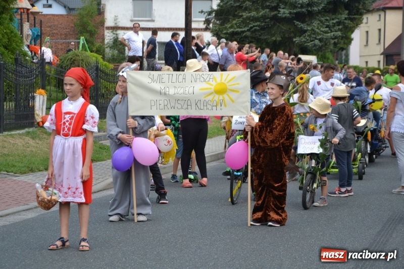Zdjęcie w galerii na portalu naszraciborz.pl: Kolorowo i cyrkowo na dożynkach w Rudyszwałdzie  wiadomości z regionu