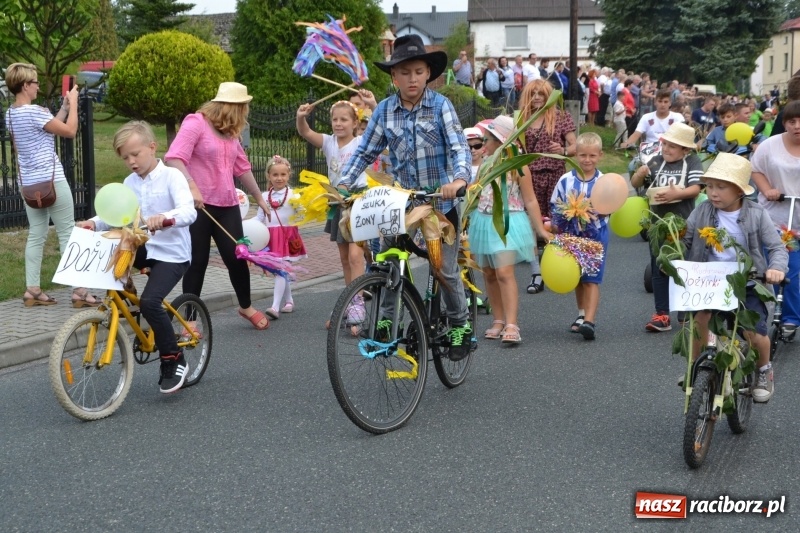 Zdjęcie w galerii na portalu naszraciborz.pl: Kolorowo i cyrkowo na dożynkach w Rudyszwałdzie  wiadomości z regionu