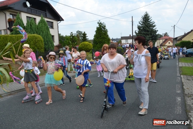 Zdjęcie w galerii na portalu naszraciborz.pl: Kolorowo i cyrkowo na dożynkach w Rudyszwałdzie  wiadomości z regionu