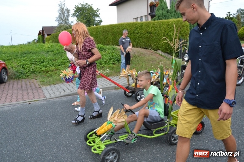 Zdjęcie w galerii na portalu naszraciborz.pl: Kolorowo i cyrkowo na dożynkach w Rudyszwałdzie  wiadomości z regionu