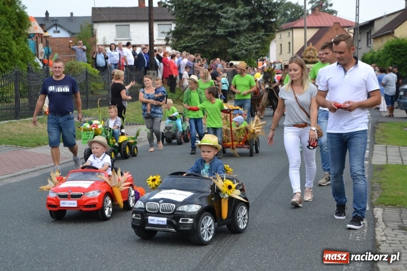 Zdjęcie w galerii na portalu naszraciborz.pl: Kolorowo i cyrkowo na dożynkach w Rudyszwałdzie  wiadomości z regionu