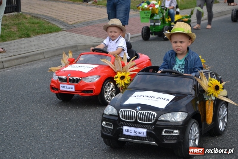 Zdjęcie w galerii na portalu naszraciborz.pl: Kolorowo i cyrkowo na dożynkach w Rudyszwałdzie  wiadomości z regionu