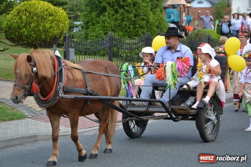 Zdjęcie w galerii na portalu naszraciborz.pl: Kolorowo i cyrkowo na dożynkach w Rudyszwałdzie  wiadomości z regionu