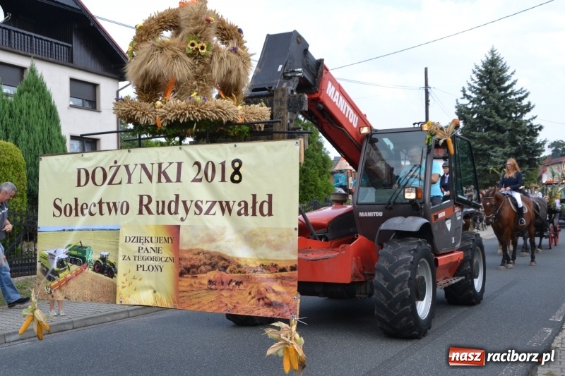 Zdjęcie w galerii na portalu naszraciborz.pl: Kolorowo i cyrkowo na dożynkach w Rudyszwałdzie  wiadomości z regionu