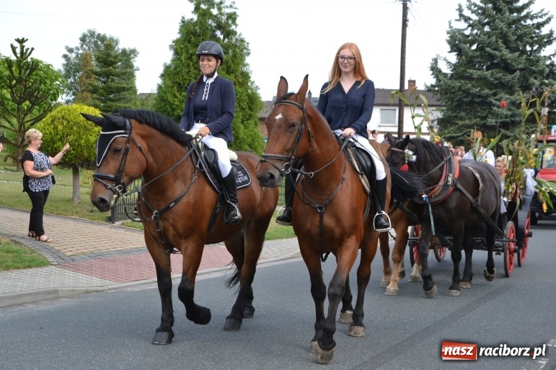 Zdjęcie w galerii na portalu naszraciborz.pl: Kolorowo i cyrkowo na dożynkach w Rudyszwałdzie  wiadomości z regionu