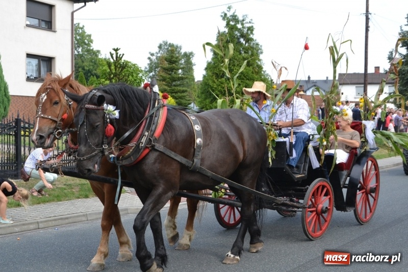 Zdjęcie w galerii na portalu naszraciborz.pl: Kolorowo i cyrkowo na dożynkach w Rudyszwałdzie  wiadomości z regionu