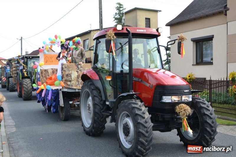 Zdjęcie w galerii na portalu naszraciborz.pl: Kolorowo i cyrkowo na dożynkach w Rudyszwałdzie  wiadomości z regionu