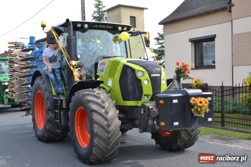 Zdjęcie w galerii na portalu naszraciborz.pl: Kolorowo i cyrkowo na dożynkach w Rudyszwałdzie  wiadomości z regionu