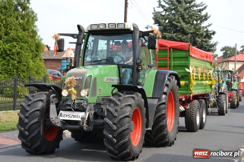 Zdjęcie w galerii na portalu naszraciborz.pl: Kolorowo i cyrkowo na dożynkach w Rudyszwałdzie  wiadomości z regionu