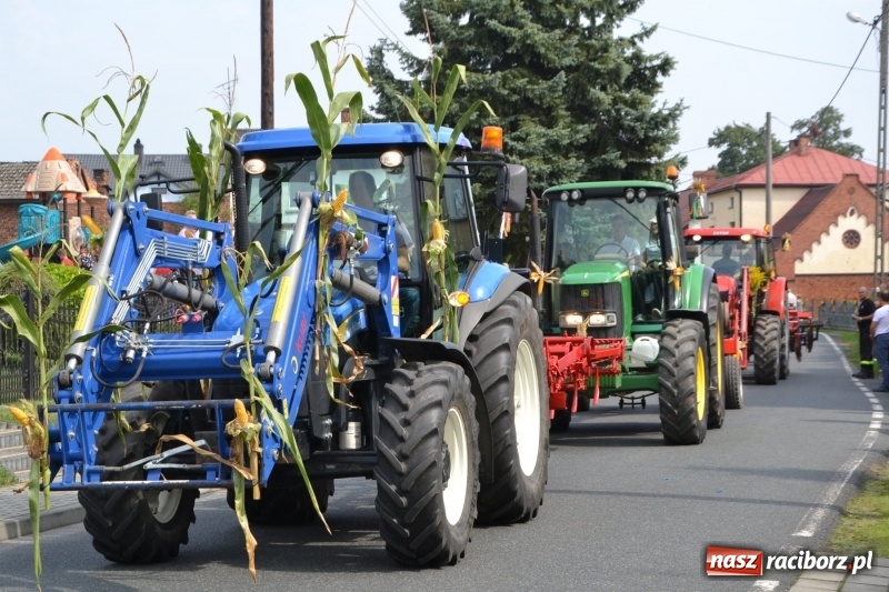 Zdjęcie w galerii na portalu naszraciborz.pl: Kolorowo i cyrkowo na dożynkach w Rudyszwałdzie  wiadomości z regionu