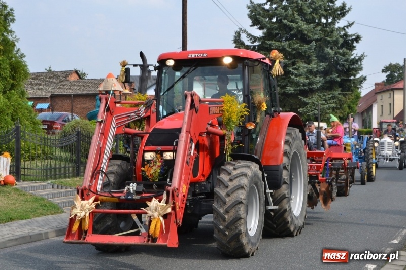 Zdjęcie w galerii na portalu naszraciborz.pl: Kolorowo i cyrkowo na dożynkach w Rudyszwałdzie  wiadomości z regionu